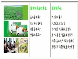 源甲餐飲 專業(yè)服務(wù)覆蓋多元區(qū)域，為您的餐飲管理提供一站式解決方案